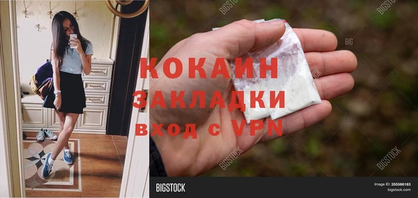 тгк Богородицк