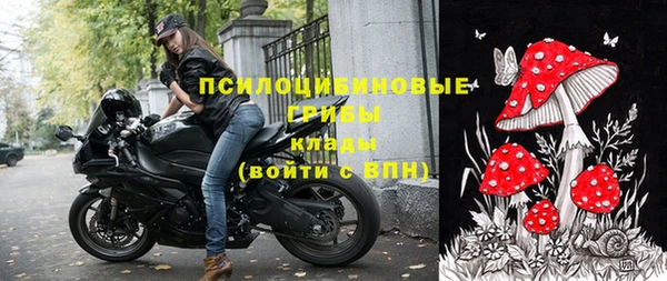 тгк Богородицк
