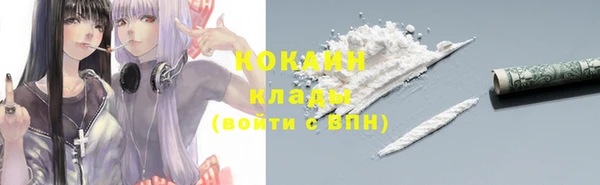 тгк Богородицк