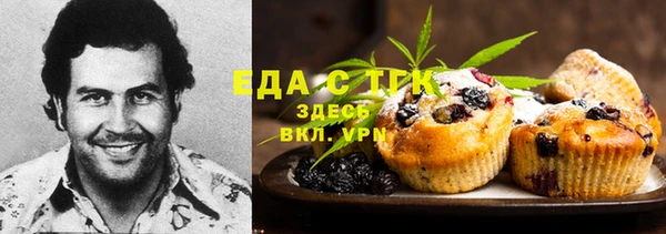 тгк Богородицк