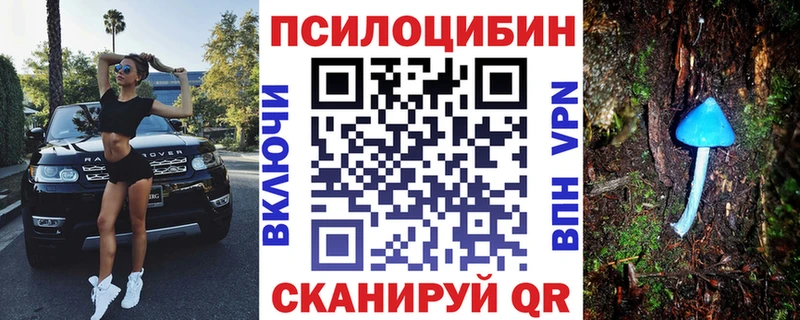 купить  сайты  Дзержинск  ОМГ ОМГ сайт  Галлюциногенные грибы Psilocybine cubensis 